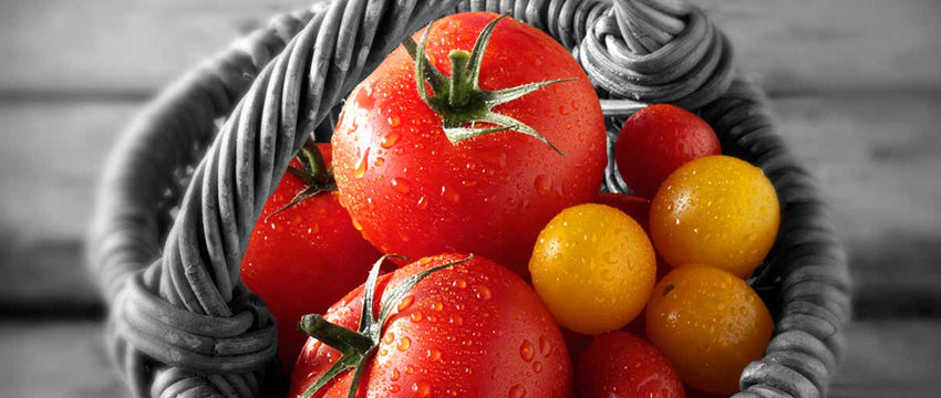 Flipmart-vegetables — ÉDITION IV — CAMPAIGN
