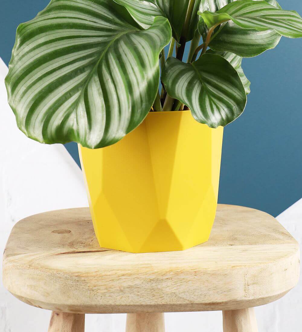 Diamond Cut Plant Pot