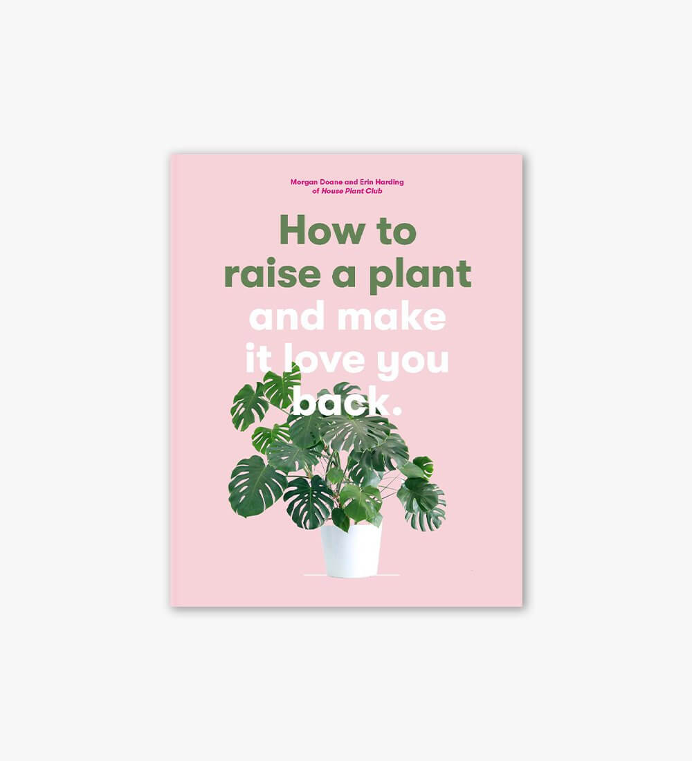 How to Raise a Plant