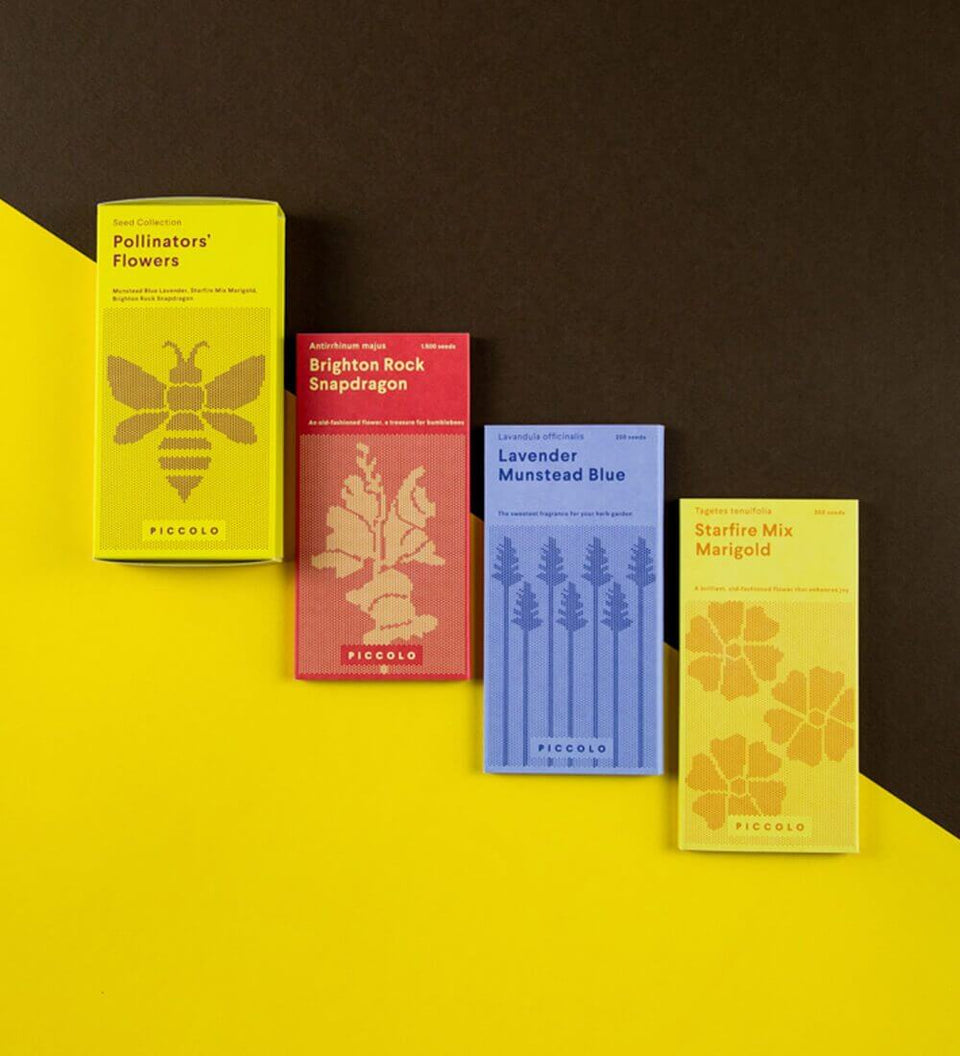 Pollinators' Flowers Seed Kit