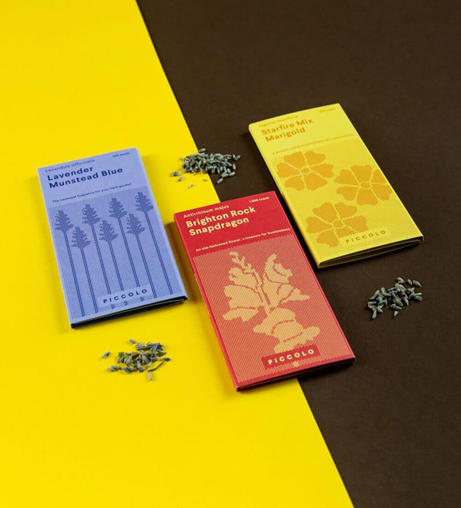 Pollinators' Flowers Seed Kit