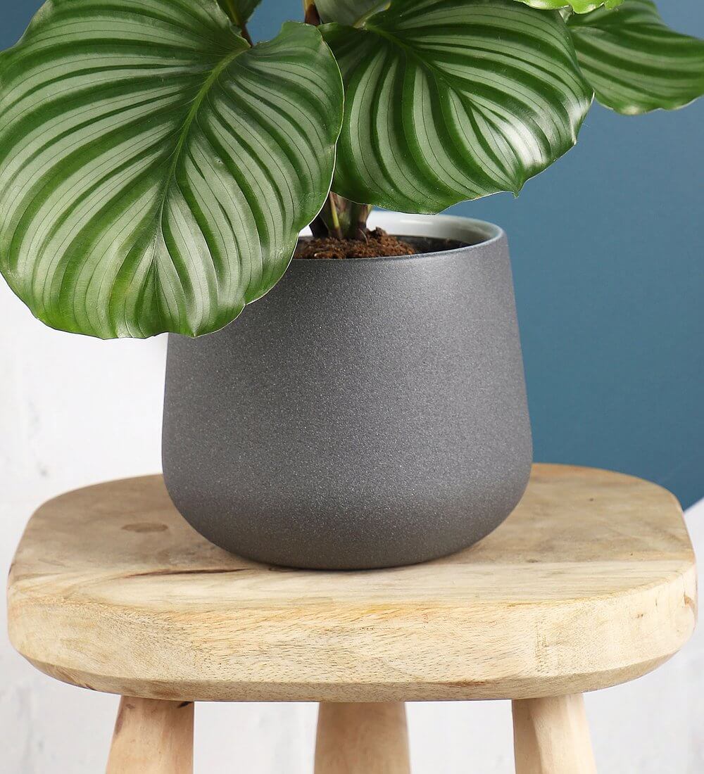 Polystone Plant Pot