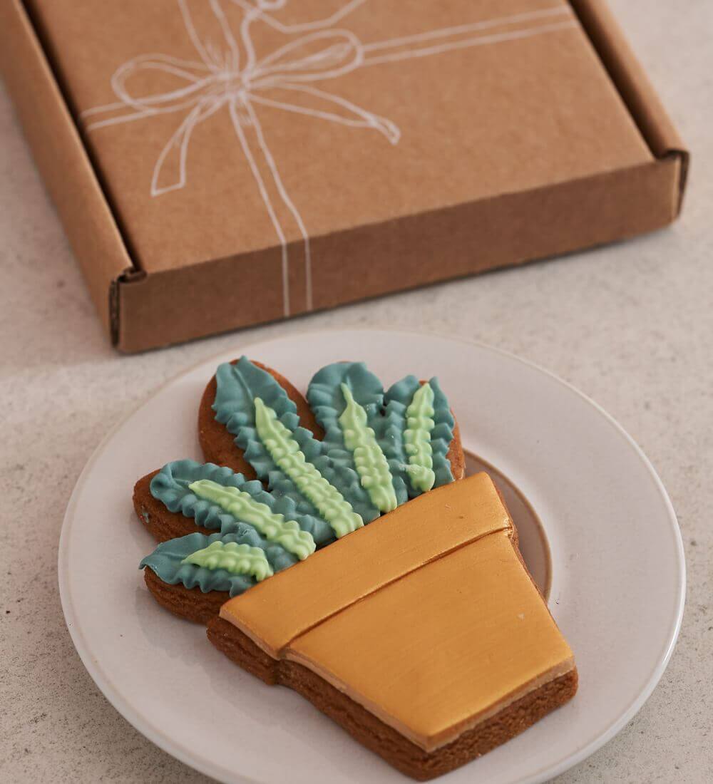 Plant Biscuit