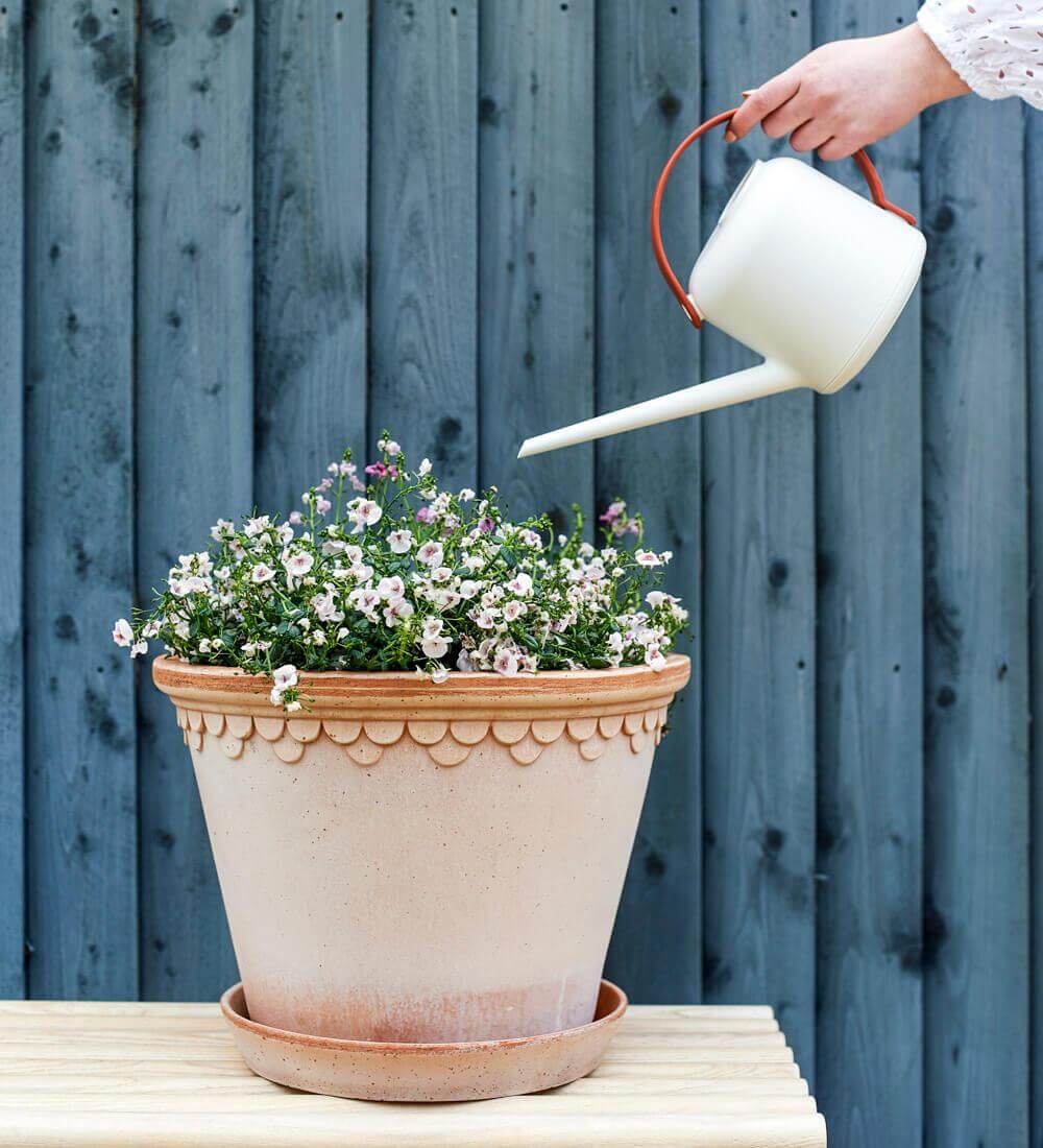 Modern Watering Can