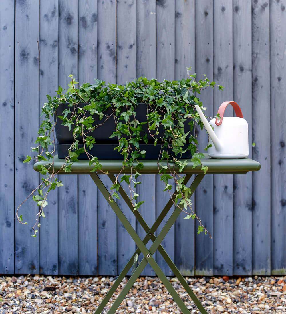 Modern Watering Can